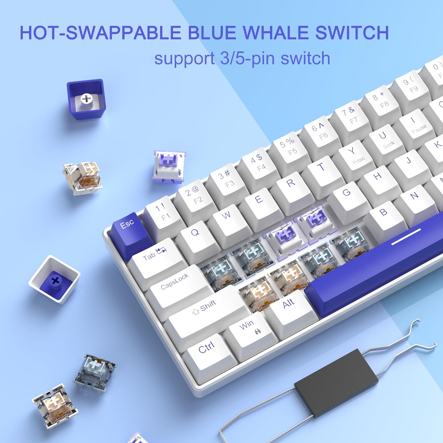 Portable Mechanical Gaming Keyboard LED Backlit Compact 68 Keys - KeysCaps