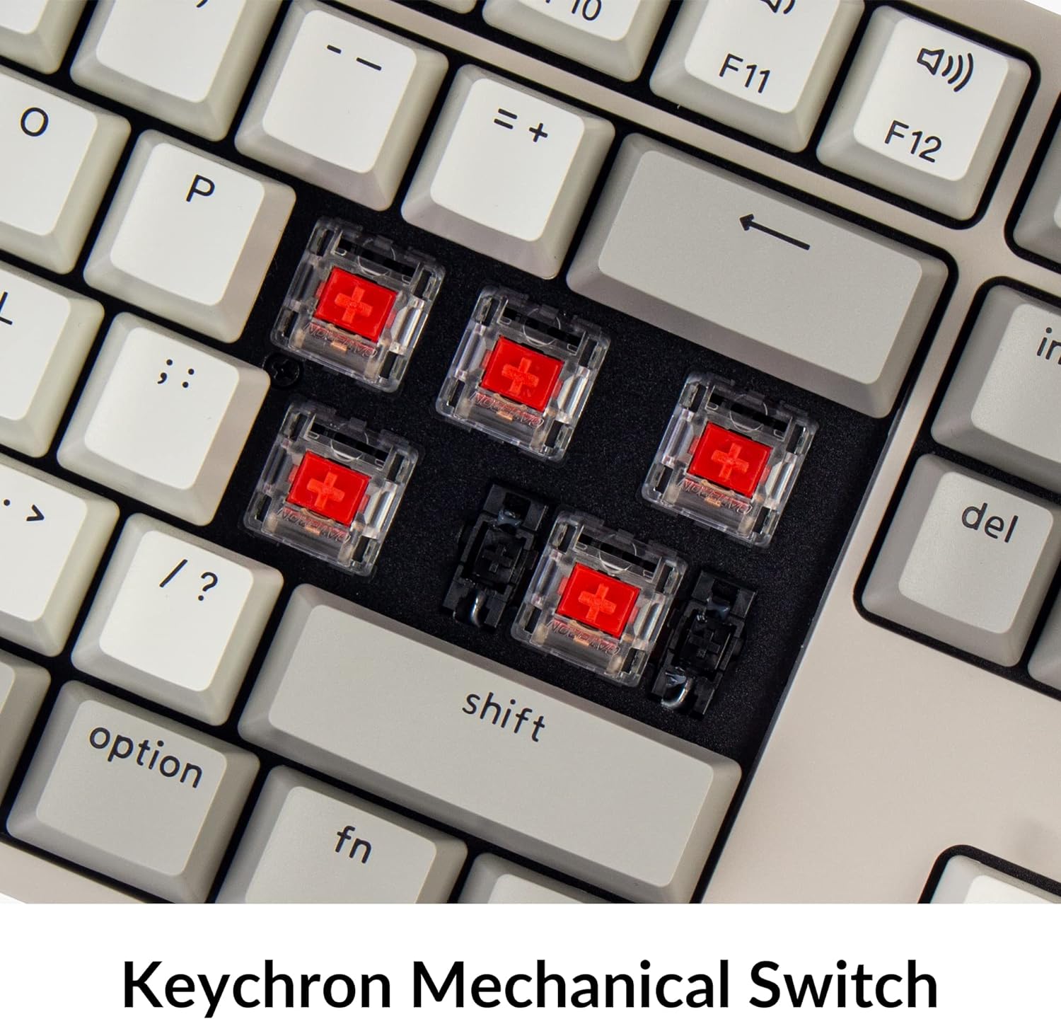 Retro Color Full Size Mechanical Keyboard: Mac Compatible, 104 Keys, Windows Support, USB-C Type-C Braid Cable