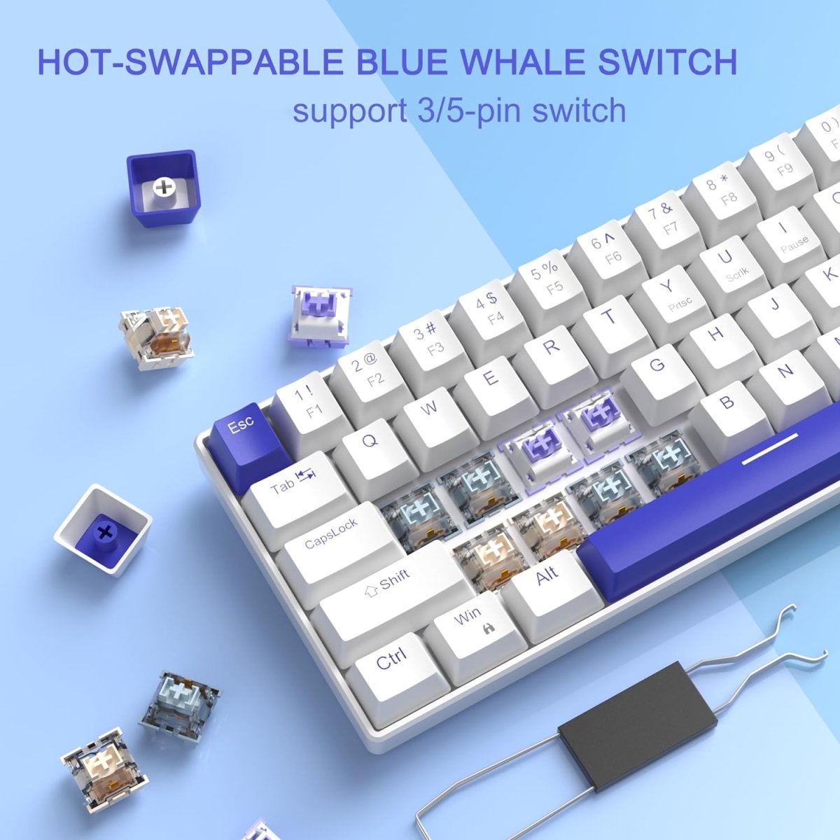 Portable Mechanical Gaming Keyboard LED Backlit Compact 68 Keyscaps - Keys Caps